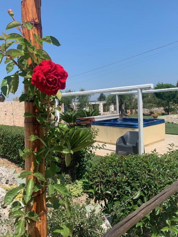 B&B Villa Grassi Alberobello Luaran gambar
