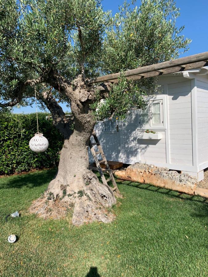 B&B Villa Grassi Alberobello Luaran gambar