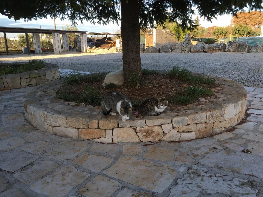B&B Villa Grassi Alberobello Luaran gambar