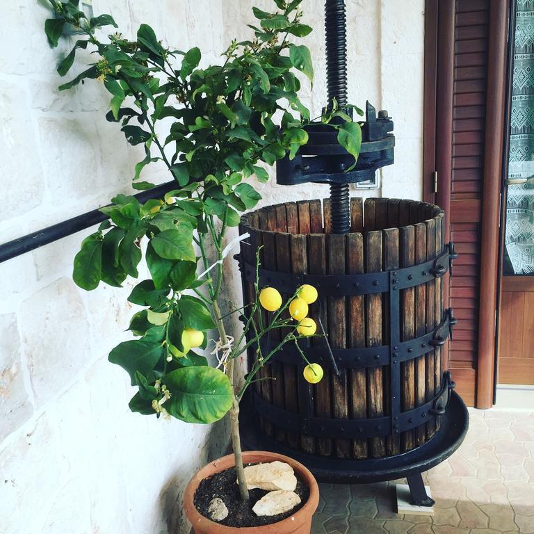 B&B Villa Grassi Alberobello Luaran gambar